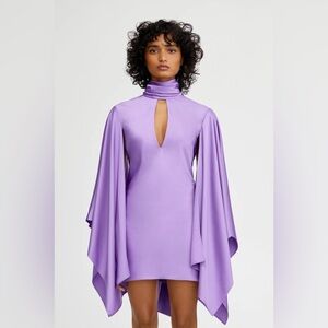 NWT Significant Other Adriana Long Sleeve Mini Dress